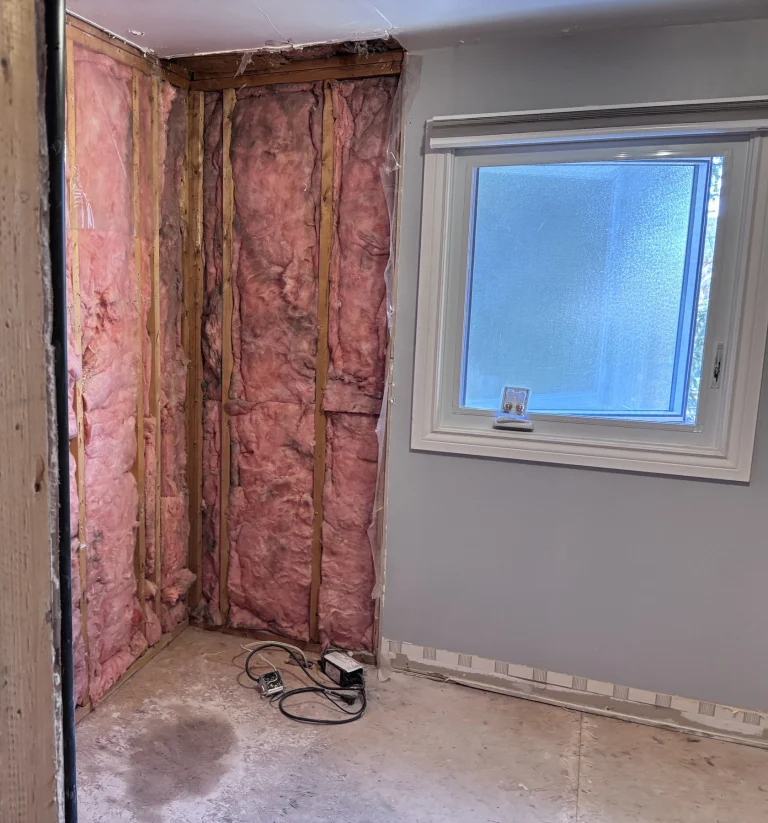 Bathroom walls removed to the insulation beside the window